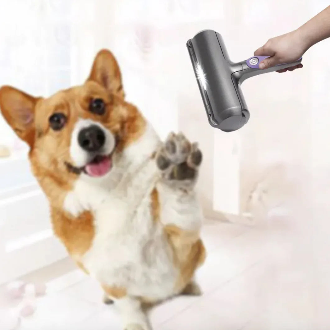 “The Ultimate Guide to Best Pet Accessories in 2025”