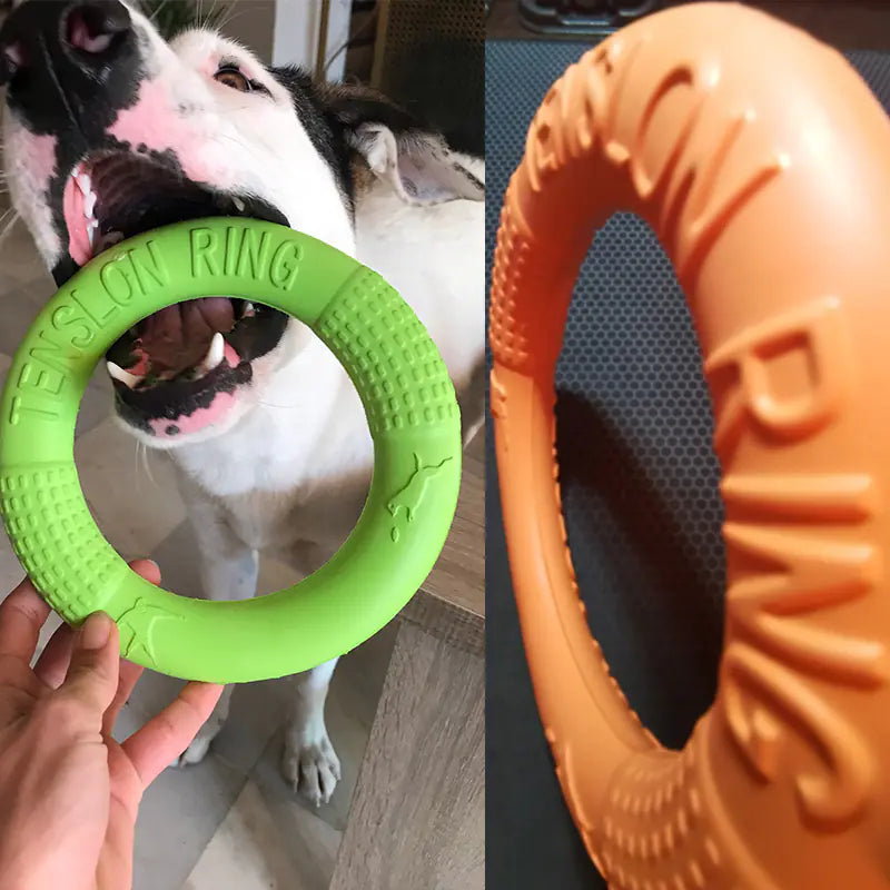 Active EVA Play Ring