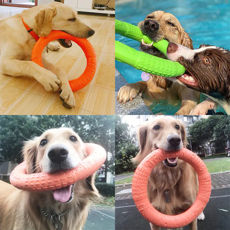 Active EVA Play Ring