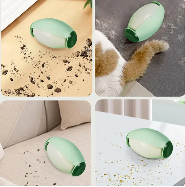 Pet Hair Removal