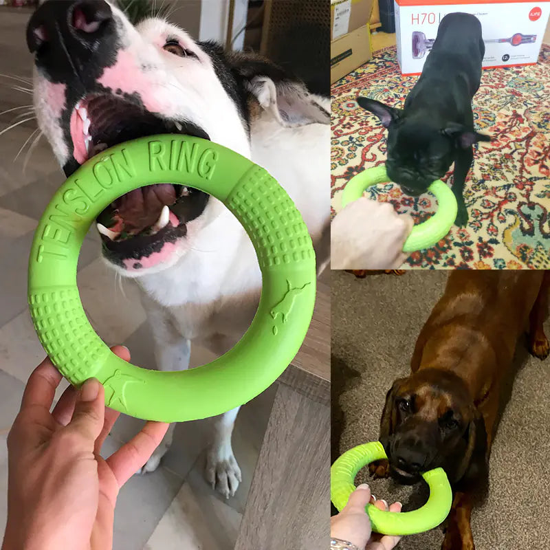 Active EVA Play Ring
