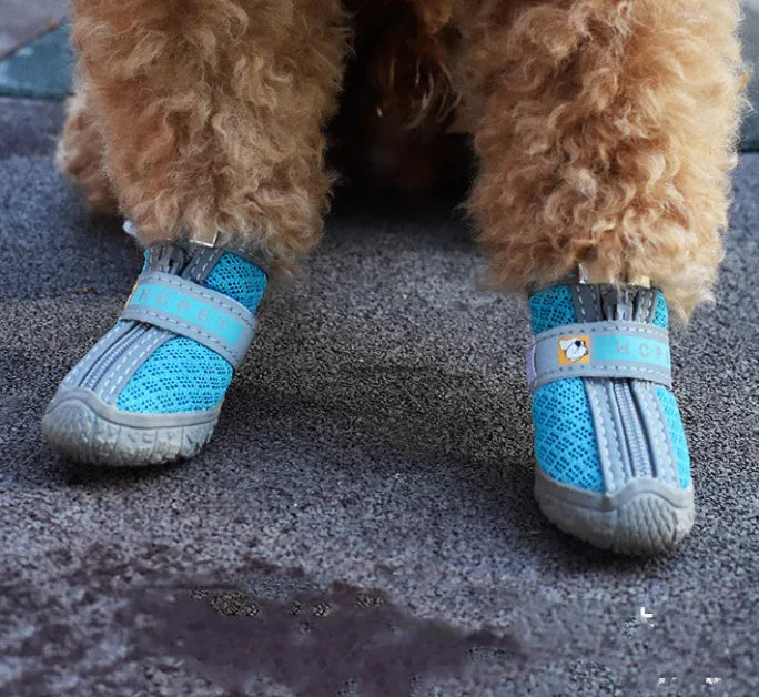 Paw Protectors