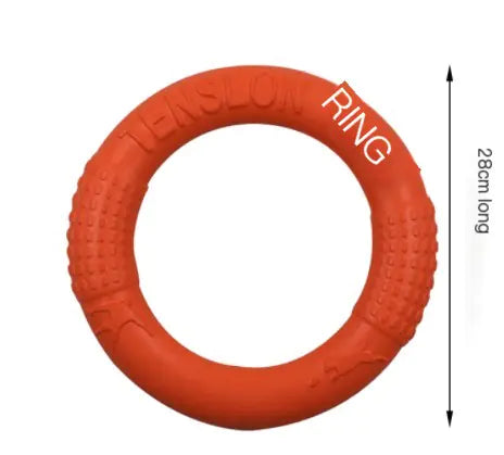 Active EVA Play Ring