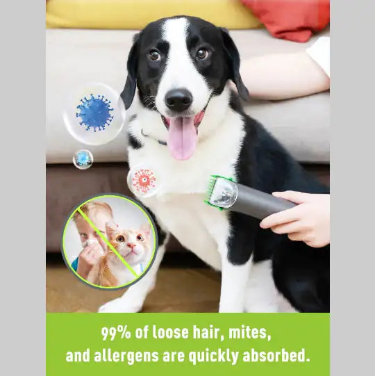 Daski Vkiskli Pet Grooming Clipper Kit
