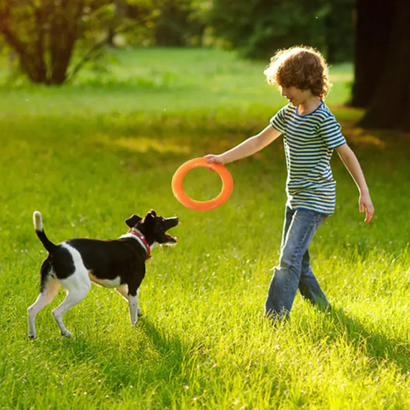 Active EVA Play Ring