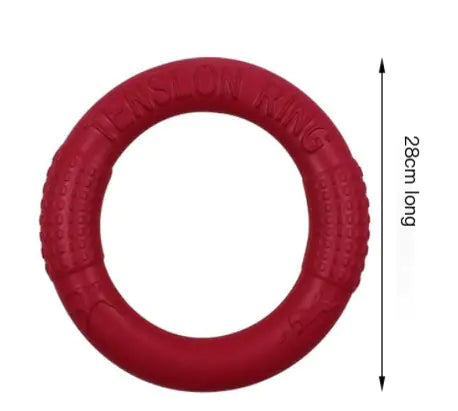 Active EVA Play Ring